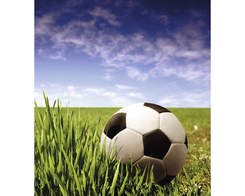 Fotbalový míč v trávě před modrou oblohou