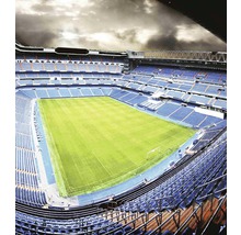 Vliesová fototapeta Fotbalový stadión MS-3-0307