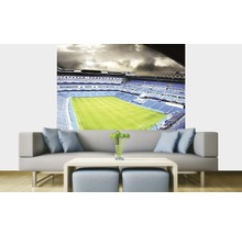 Vliesová fototapeta Fotbalový stadión MS-3-0307