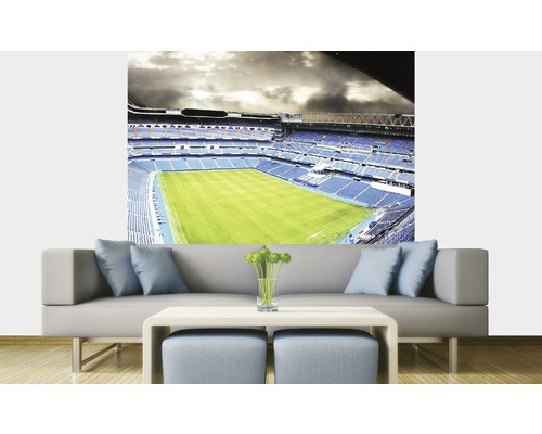 Vliesová fototapeta Fotbalový stadión MS-3-0307