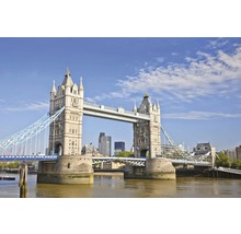 Vliesová fototapeta Tower Bridge MS-5-0019-thumb-1