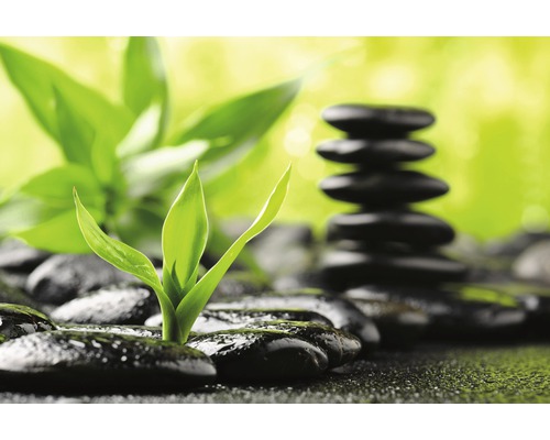 Dekorativní kameny s bambusovými výhonky a kamennou věží