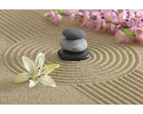 Zenová zahrada s kameny, pískem a květem