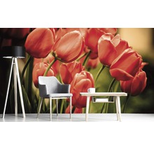 Vliesová fototapeta Červené tulipány MS-5-0128-thumb-0