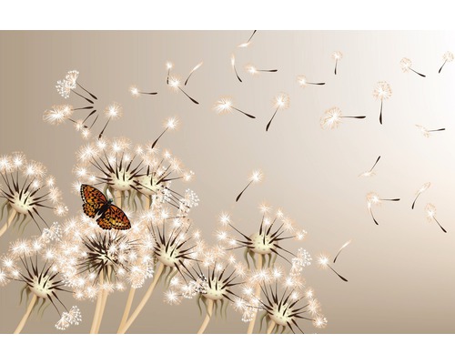 Ilustrace pampelišek s motýlem