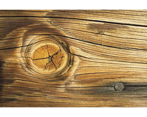 Detail dřevěného povrchu se sukem a hřebíkem