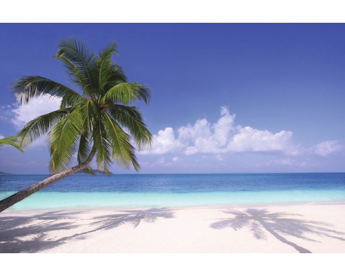 Tropická pláž s palmou, mořem a modrou oblohou