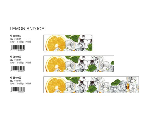 Nástěnný obraz citron a led v různých velikostech