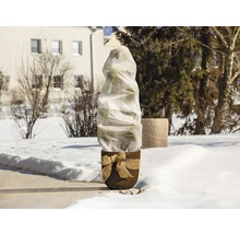 Rostlina v květináči se zimní ochranou na zahradě.