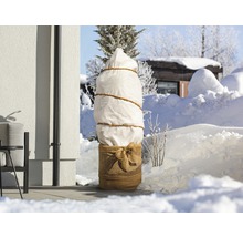 Vysazený strom se zimní ochranou v zasněžené zahradě.