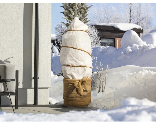 Vysazený strom se zimní ochranou v zasněžené zahradě.