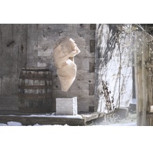 Obal na rostlinu na ochranu proti mrazu na kamenném sloupu před dřevěnou chatou