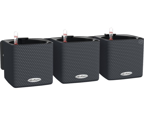 Tři šedé nástěnné květináče Lechuza Cube Color 14 se zavlažovacím systémem