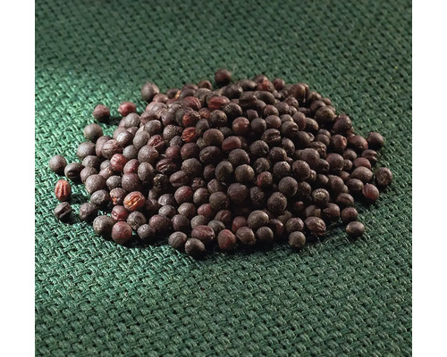 Zelené hnojení řepka ozimá 500 g Zelené hnojení řepka ozimá 500 g