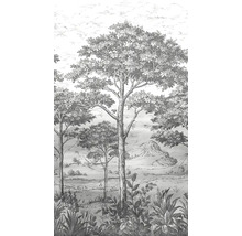 Tapeta s motivem lesní krajiny