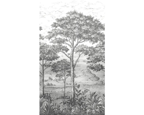 Tapeta s motivem lesní krajiny