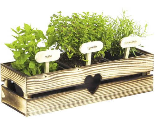 Dřevěná bedna s mátou, tymiánem a rozmarýnem a přidruženými štítky na rostliny