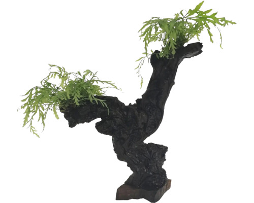 Dekorace pro akvária s dřevem a rostlinami