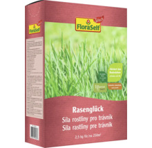 Travní semeno FloraSelf pro plochu 250 metrů čtverečních v balení o hmotnosti 2,5 kilogramu