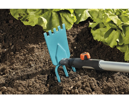 Zahradní motyka používaná v zemi vedle salátových rostlin.