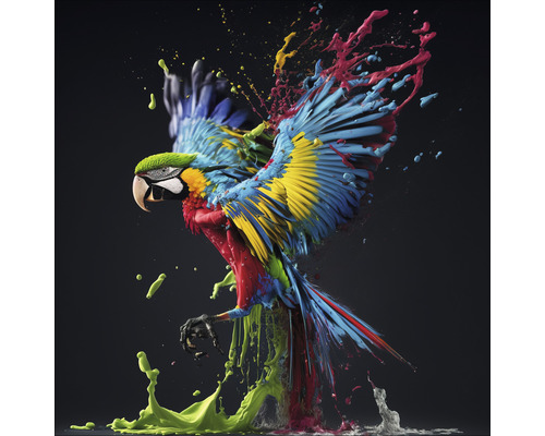 Skleněný obraz Colorful Ara 50x50 cm