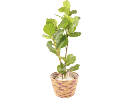 Umělá rostlina Fíkovník lyrovitolistý v květináči