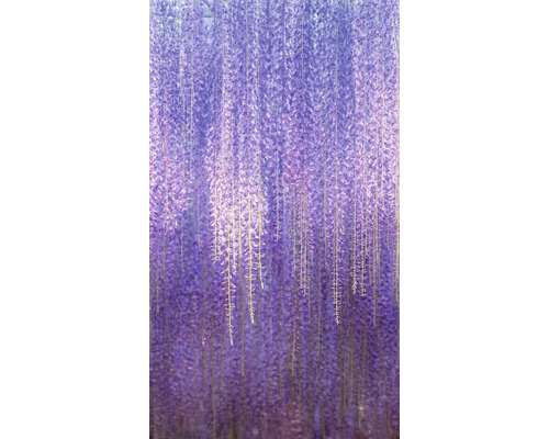 Vliesová fototapeta na zeď ML6501 Wisteria 1,59x2,8 m