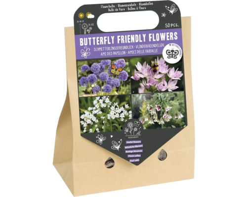Cibuloviny 'Květiny přátelské k motýlům II' mix okrasných česneků 50 ks