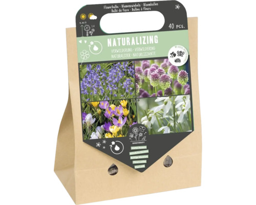 Cibuloviny 'Užitečné luční květiny' mix botanických krokusů, sněženek, ladoněk a česneků 40 ks