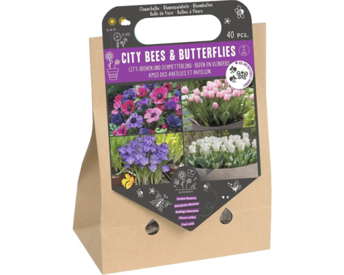 Cibuloviny 'City včely & motýli' mix krokusů, tulipánů a sasanek 40 ks