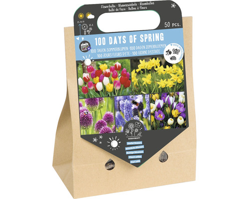 Cibuloviny '100 dní jara' mix česneků, tulipánů, narcisů, krokusů a modřenců 50 ks