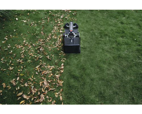 Zametač trávníku na trávníku s listím