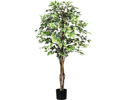 Umělá rostlina fíkus Ficus Benjamina 180 cm zeleno-bílá