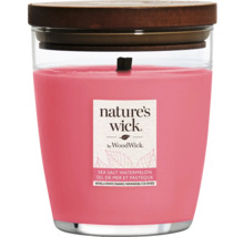 Vonná svíčka Nature''s Wick Sea Salt Watermelon ve sklenici s dřevěným víčkem