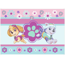 Postavičky z Tlapkové patroly Skye a Everest na vzorovaném pozadí