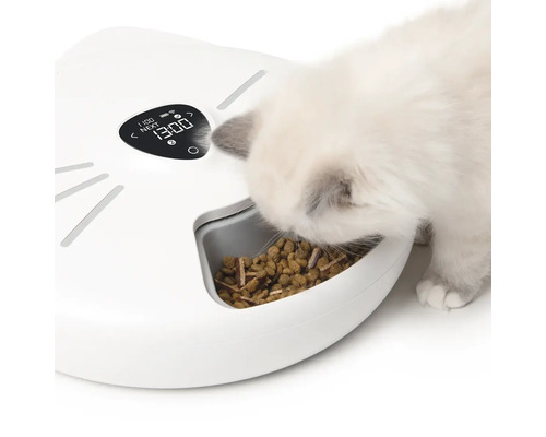 Kočka jí z automatického krmítka