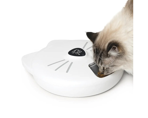 Kočka jí z automatického krmítka