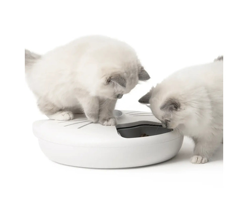 Dvě koťata u interaktivního krmítka