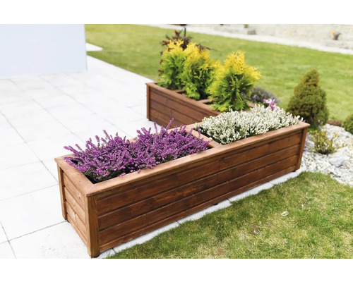 Dva obdélníkové dřevěné truhlíky s rostlinami na zahradě.