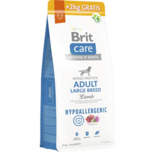 Brit Care Adult Large Breed suché krmivo pro psy s jehněčím masem, 12 kg plus 2 kg zdarma