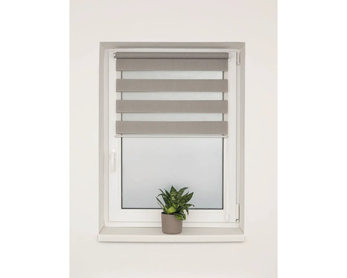 Okno s dvojitou roletou a pokojovou rostlinou