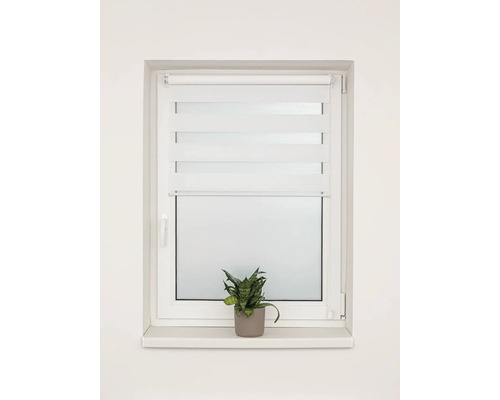 Okno s dvojitou roletou a pokojovou rostlinou