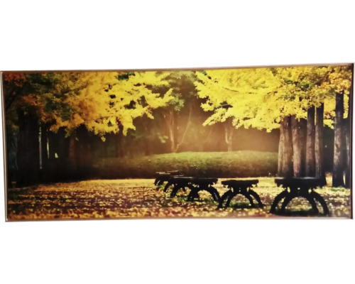 Obraz v rámu SHADOW 59x134 cm Trees Yellow