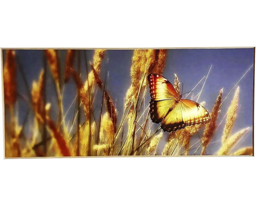 Obraz v rámu SHADOW 59x134 cm Butterfly