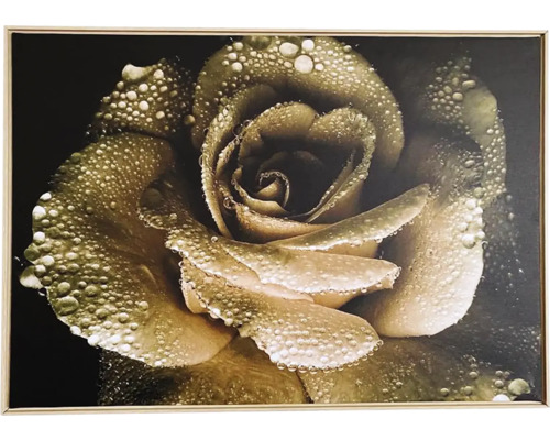 Obraz v rámu SHADOW 59x84 cm Růže