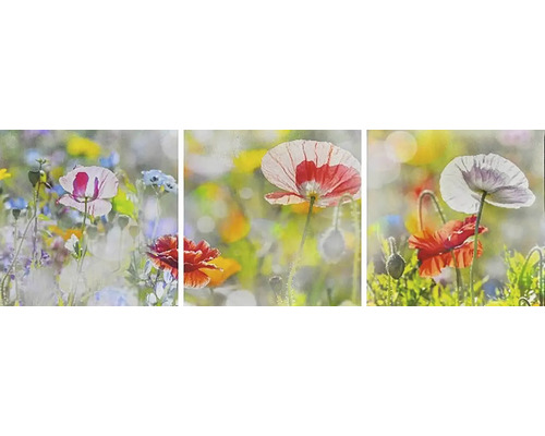 Moderní obraz Sada 3090 máky 90x30 cm Moderní obraz Sada 3090 máky 90x30 cm