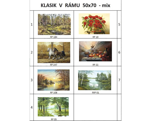 Obraz v rámu Klasik 5070 56x56 cm MIX druhů Obraz v rámu Klasik 5070 56x56 cm MIX druhů
