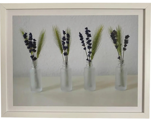 Obraz v rámu DMB 33x43 cm Tráva Lavender