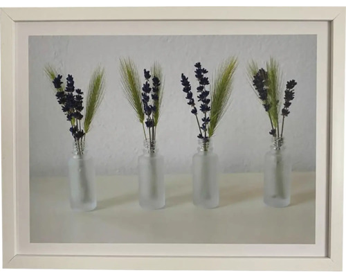 Obraz v rámu DMB 33x43 cm Tráva Lavender Obraz v rámu DMB 33x43 cm Tráva Lavender