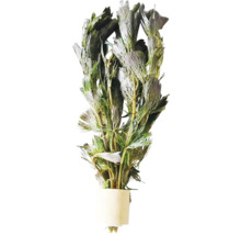 Umělá vodní rostlina pro akvária